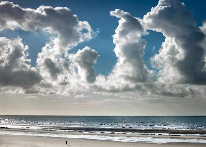 Plaisir Iodé - 50m Front De *